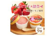 AQ-A3 串間市産イチゴ使用！いちごアイス詰合せ(9個)【たまたまクラブ】【AQ-A3】