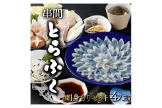 AB-EF1 ＜毎月数量限定＞年末年始や宴会に！とらふく刺身・ちり鍋セット(4人前) 国産最高級とらふく料理をご自宅で【大田商店】