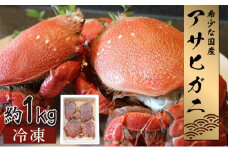 KU017 【数量・期間限定】宮崎県串間産アサヒガニ(計約1kg・4～6匹)【豊漁丸】