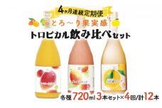 KU026【定期便・全4回】驚きの果実感！トロピカルフルーツドリンク(3本・各720ml、マンゴー、グァバ、日向夏)×4回【宮崎果汁】