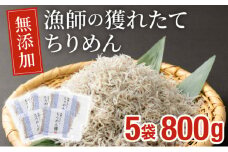 KU094 漁師の獲れたてちりめん 計800g(160g×5袋)鮮度と美味しさに自信！ 海の幸【株式会社猪塚水産】