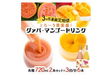 KU107 【定期便・全3回】とろーり果実感！グァバ・マンゴードリンク２本セット(各720ml×2本)×3回 【宮崎果汁】