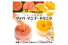KU108 【定期便・全12回】とろーり果実感！グァバ・マンゴードリンク２本セット(各720ml×2本)×12回 【宮崎果汁】