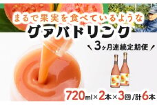 KU110 【定期便・全3回】まるで果実を食べているような！グァバドリンク２本セット(各720ml)×3回【宮崎果汁】