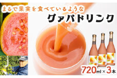 KU112 まるで果実を食べているような！グァバドリンク3本セット(各720ml)【宮崎果汁】