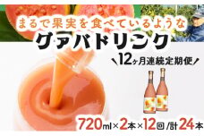 KU111 【定期便・全12回】まるで果実を食べているような！グァバドリンク２本セット(各720ml)×12回【宮崎果汁】