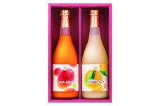 KU123【定期便・全3回】あふれる果実感！マンゴー・日向夏ドリンク２本セット(各720ml)×3回【宮崎果汁】