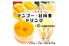 KU124 【定期便・全12回】あふれる果実感！マンゴー・日向夏ドリンク２本セット(各720ml)×12回【宮崎果汁】