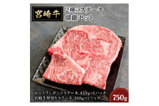 KU292 ＜毎月数量限定＞ 内閣総理大臣賞受賞の宮崎牛！ 宮崎牛2種のステーキ堪能セット ご家庭に美味しい牛肉をお届け！