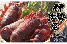 KU345【先行予約】  ＜生冷凍・数量限定＞宮崎県串間産 天然伊勢エビ(計約500g・1～3匹) 【豊漁丸】