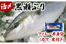 KRBF15 活じめ！黒瀬ぶりの生鮮ブリフィレー 1.5kg前後