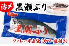 KRBF15 活じめ！黒瀬ぶりの生鮮ブリフィレー 1.5kg前後