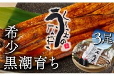 KU469-3 くしまの黒潮うなぎ蒲焼３尾（合計600g前後）【大田商店】