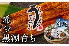 KU469-4 くしまの黒潮うなぎ蒲焼４尾（合計800g前後）【大田商店】