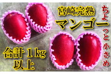 【やました農園】＜先行予約＞小さいマンゴーでも味と糖度は贈答用と同じ！Ｍ・Ｌサイズ４玉（1,200g前後） ご家庭用 ちょっと小さめ宮崎完熟マンゴー YMPML4