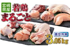 TRT06 若鶏まるごと3.05ｋgセット