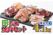 TRT09 若鶏焼肉4.1kgセット