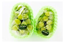 KZBSH2 ＜訳あり＞ シャインマスカット 　約2kg（4房）【KAZUSAN農園】