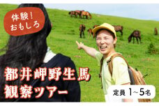OP-TMG 体験！おもしろ『都井岬野生馬』観察ガイドツアー