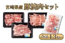 MCBY4-13 宮崎県産 豚肉詰め合わせ 焼肉セット（合計1.3kg）