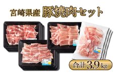 MCBY4-39 宮崎県産 豚肉詰め合わせ 焼肉セット（合計3.9kg）