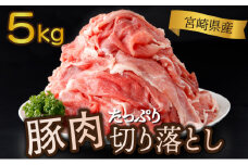 ＜2025年8月発送分＞宮崎県産 豚肉切り落とし 250g×20パック 合計5kg