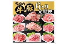 MCT6UB-69 【定期便・全6回】宮崎牛・宮崎県産豚肉 6ヶ月定期便！6.9kg