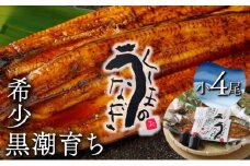 KU469-4s くしまの黒潮うなぎ蒲焼小４尾（合計560g前後）【大田商店】