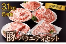 KU405-2-2511 ＜2025年11月発送分＞宮崎県産豚バラエティー3.1kgセット