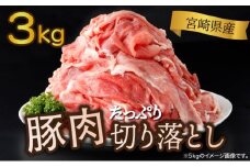 ＜2025年11月発送分＞宮崎県産 豚肉切り落とし 250g×12パック 合計3kg