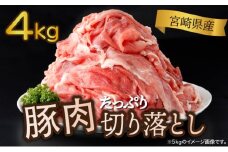 ＜2025年12月発送分＞宮崎県産 豚肉切り落とし 250g×16パック 合計4kg