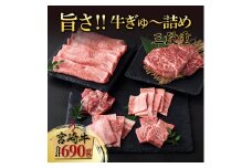 SKU3DJ ＜2025年11月発送分＞ 宮崎牛旨さ!!牛ぎゅ～詰め三段重 合計690g 赤身モモ肉ステーキ、霜降り肩ローススライス、焼肉4種食べ比べ