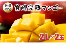 KU019 【令和8年発送分　先行予約！】＜数量限定＞ 串間産完熟マンゴー（2L×2玉）