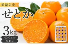 KU250 せとか3kg（8～15玉）化粧箱付き
