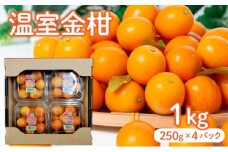 KU434 【先行予約】温室金柑1kg（250g×4パック）