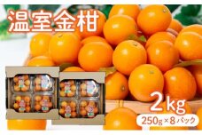 KU434 【先行予約】温室金柑2kg（250g×8パック）