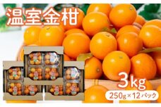 KU434 【先行予約】温室金柑3kg（250g×12パック）