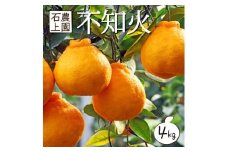 AF-A3 【訳あり】 串間市都井「石上農園」の蔵出し不知火4kg(12～15玉)【石上農園】