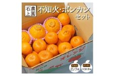 AF-A2 【先行予約】串間市都井「石上農園」の不知火・ポンカンセット（不知火2Lサイズ・3個、ポンカンMサイズ・30玉～35玉）【石上農園】