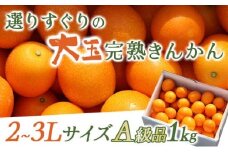 KU445 ＜先行予約＞【プレミアム】選りすぐりの大玉完熟きんかん１kg【玉様ファーム】