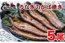 藤うなぎ かば焼き5尾 国産うなぎ 宮崎 蒲焼 鰻＜4.2-2＞