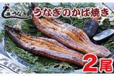 藤うなぎ かば焼き2尾 国産うなぎ 宮崎 蒲焼 鰻＜1.7-2＞