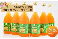 マンゴー王国・西都市のマンゴー１００％使用　とろりと魅惑のスイーツリキュール6本セット＜3.5-16＞