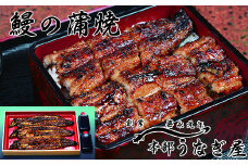 本部うなぎ屋 鰻の蒲焼３尾 国産うなぎ 宮崎 蒲焼 鰻＜4.6-1＞