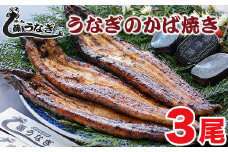 藤うなぎ かば焼き3尾 国産うなぎ 宮崎 蒲焼 鰻＜2.5-6＞