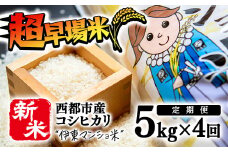 【新米４ヶ月定期便】新米コシヒカリ5kg 合計20kg 定期便 米＜3.4-4＞白米 ごはん ご飯