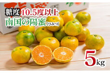 【先行予約】極早生みかん5kg「南国の陽蜜」宮崎県西都産 ミカン 蜜柑＜1-220＞
