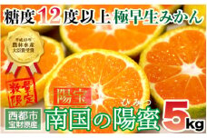 【先行予約】極早生みかん 5kg「南国の陽蜜・陽宝」宮崎県西都産＜1.5-169＞
