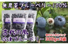 『古代の風』無農薬ブルーベリー900ｇ 小分け300g×3＜1-57＞