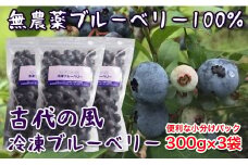 『古代の風』無農薬ブルーベリー900ｇ 小分け300g×3＜1-57＞★